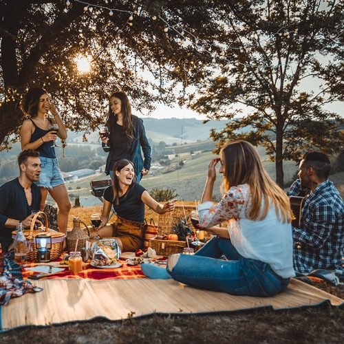 amigos-riendo-en-picnic